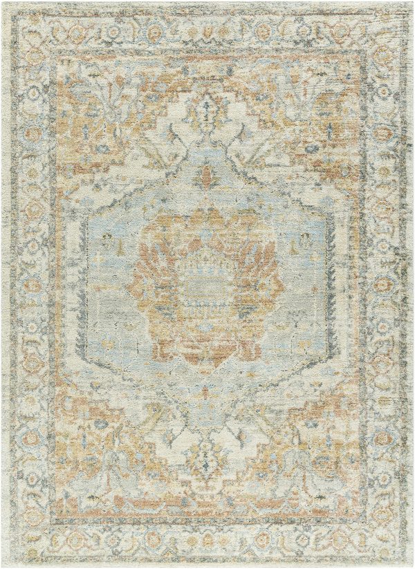 Sample Vaeda Blue & Beige Medallion Area Rug Online now
