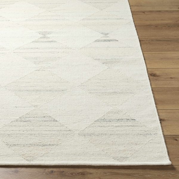 Rakin Area Rug on Sale - Image 2
