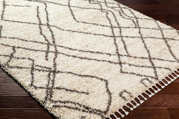 Hersz Cream Plush Rug with Tassels Cheap - Image 3