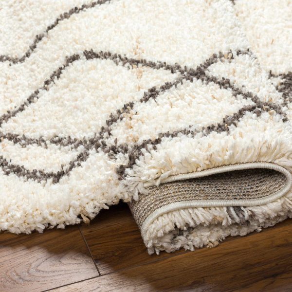 Hersz Cream Plush Rug with Tassels Cheap - Image 4