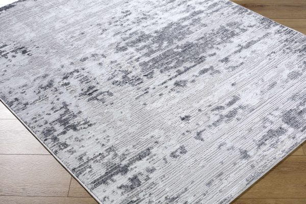 Candie Gray Area Rug Supply - Image 4