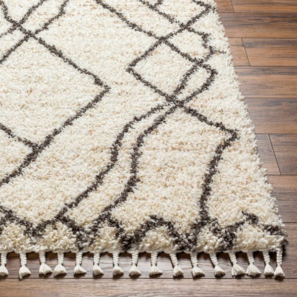Hersz Cream Plush Rug with Tassels Cheap - Image 2
