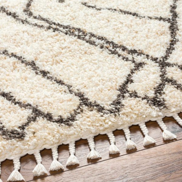 Hersz Cream Plush Rug with Tassels Cheap - Image 5