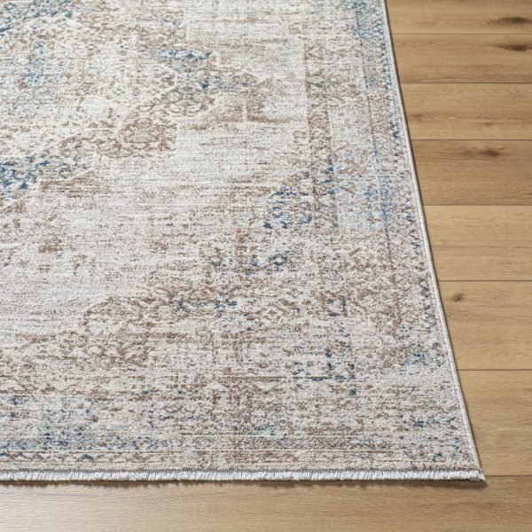 Kosta Beige & Blue Medallion Area Rug Online now - Image 4